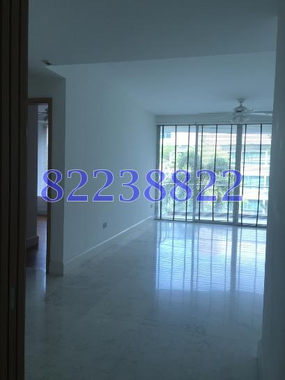 The Solitaire (D10), Condominium #62328812
